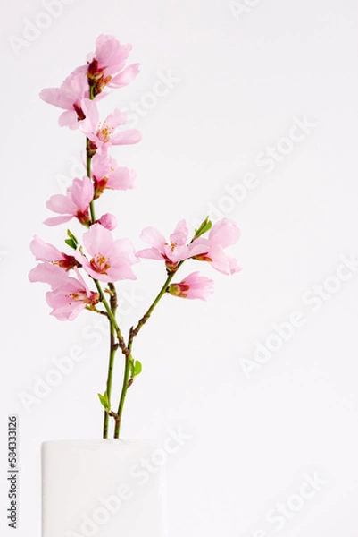 Obraz Close up of spring flowers isolated on white, with clipping path. Minimalistic style pink spring flowers in white vertical background