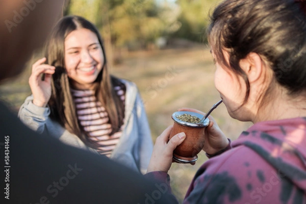 Fototapeta  Group of smiling friends drinking yerba mate using a thermo with hot water in the countryside at sunset.