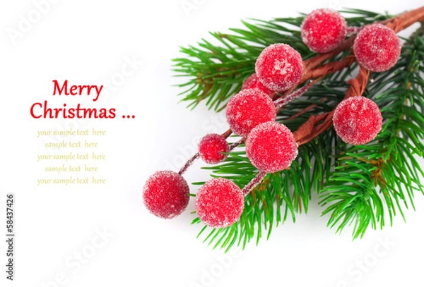 Fototapeta Christmas red berries with copy space, on  on white background