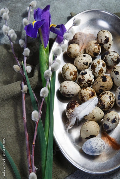 Fototapeta Quail eggs on metal plate with willow branches and iris flower, Easter decor concept.