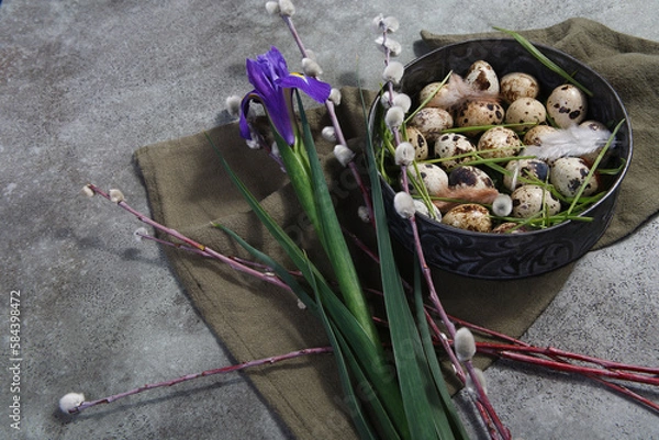 Fototapeta Quail eggs in metal rustic bowl with willow branches and iris flower, Easter decor concept with copyspace.