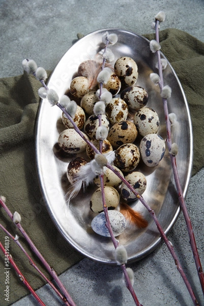 Fototapeta Quail eggs on metal plate with willow branches, Easter decor concept.