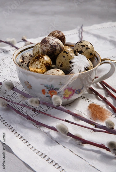 Fototapeta Quail eggs in white vintage tea cup with willow branches on white background, Easter and spring decor concept.