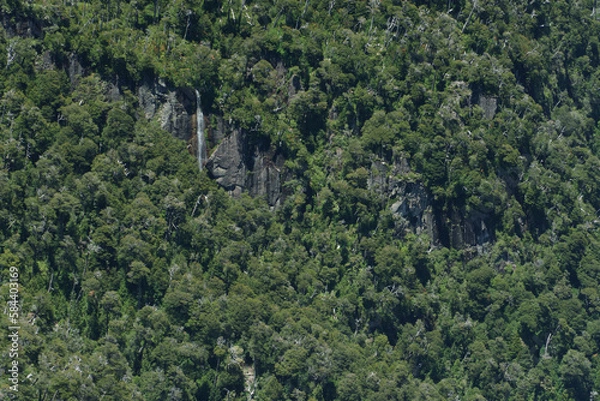 Obraz landscape with trees