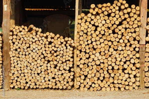 Fototapeta stacked logs on top of each other, stack of firewood