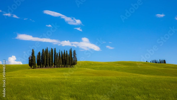 Obraz Summer in Tuscany