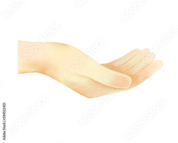 Fototapeta Open palm hand gesture