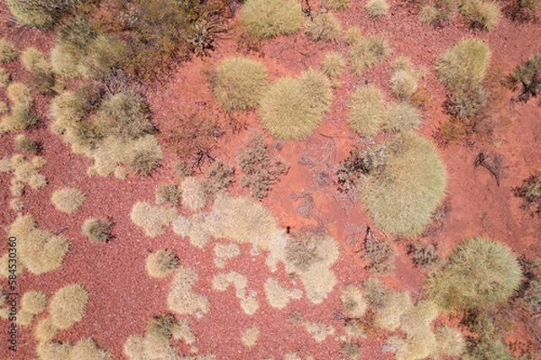 Obraz Looking down from a lower angle seeing only the red Australian outback dirt and speckles of bushes in an arid land.