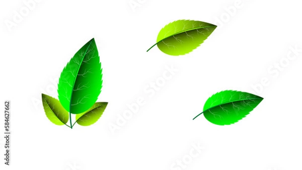 Obraz set ofgreen leaves isolated on white background