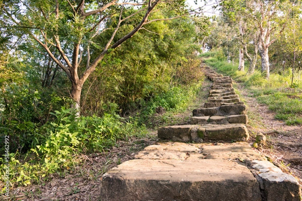 Fototapeta Forest pathway with stairs