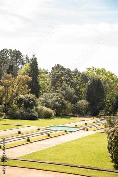 Obraz landscape with trees and fields