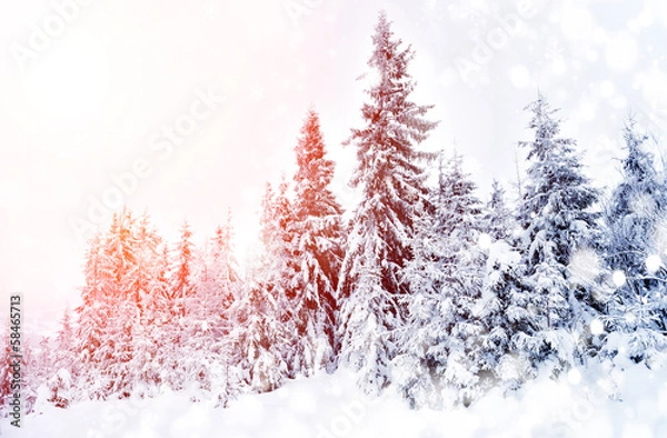 Fototapeta Winter landscape