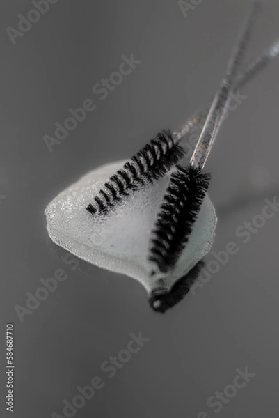 Obraz Black brushes for eyebrows and eyelashes