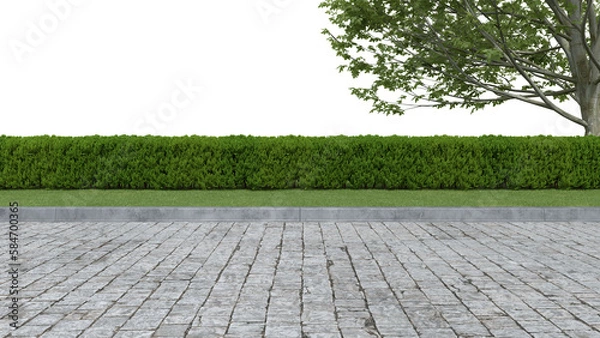 Fototapeta Realistic road side with hedge and tree. 3d rendering of isolated objects.