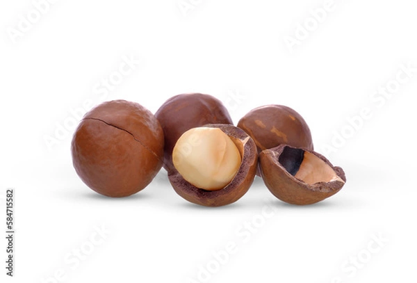 Fototapeta Macadamias nut on white background on transparent.