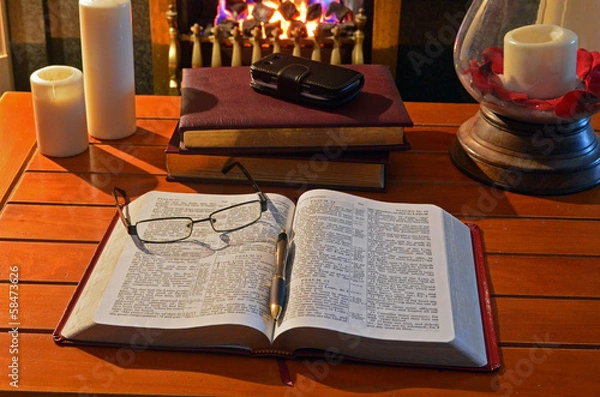 Obraz Student Fireside Study