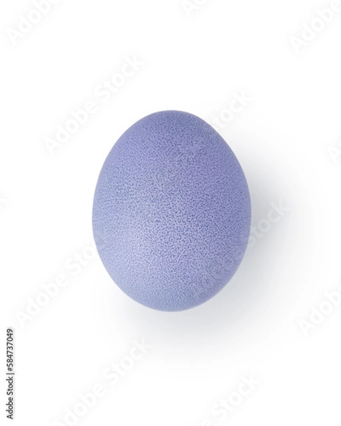 Obraz violet easter egg isolated on white background