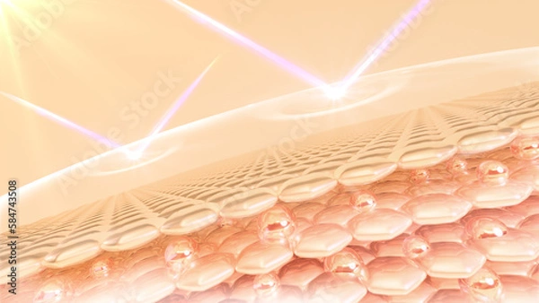 Fototapeta UV-protected 3D rendering of skin cells. Serum is absorbed via the skin and reduces sagging skin cells. lighting moisturizer Dark skin tone gave way to bright.