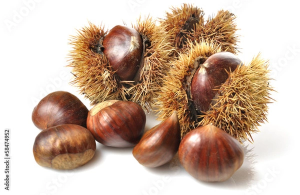 Fototapeta Castañas de temporada