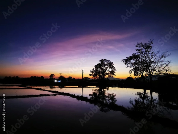 Fototapeta Beutiful Twilight sky over the silhouette trees beside the pond in the rice fields unseen in Thailand
