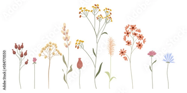 Obraz Set of various beautiful bouquets of herbs, tropical leaves, blooming flowers. Collection of flowering or dry plants, herbarium. Elements of decorative, floral design. Isolated vector illustrations.