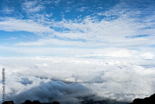 Obraz 雲海に見える影富士