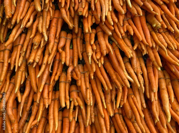 Obraz Carrots display for sale 