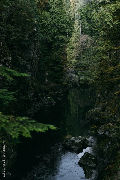 Fototapeta waterfall in the forest
