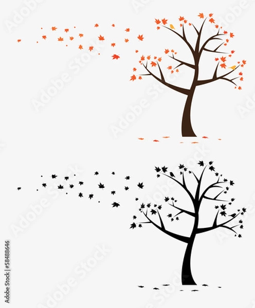 Obraz Maple Tree Decal