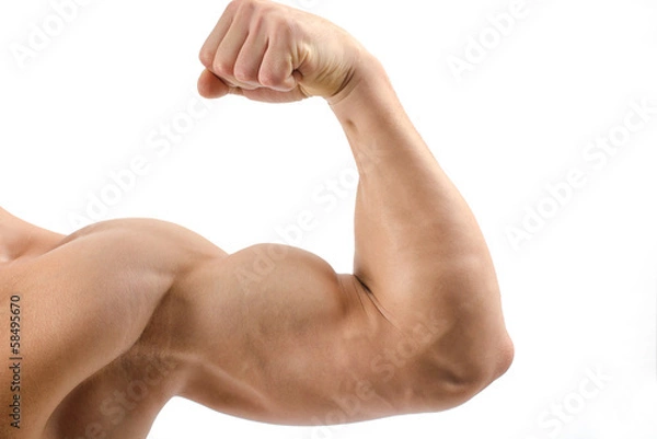 Fototapeta Close up on a bodybuilder biceps,shoulder,arm
