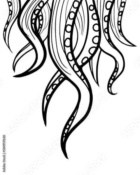 Obraz Tentacles Legs Outline Vector