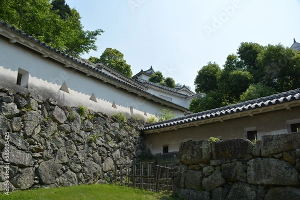 Fototapeta 姫路城　土壁の狭間