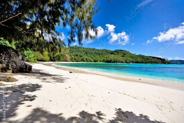 Obraz beautiful beach on seychelles