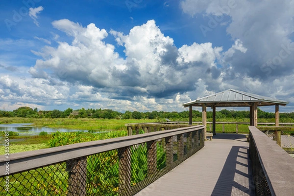 Fototapeta Observation platform at end of boardwalk over marshland with a creek in a nature preserve and flood mitigation area, part of the Great Florida Birding Trail, on a summer afternoon in Sarasota County