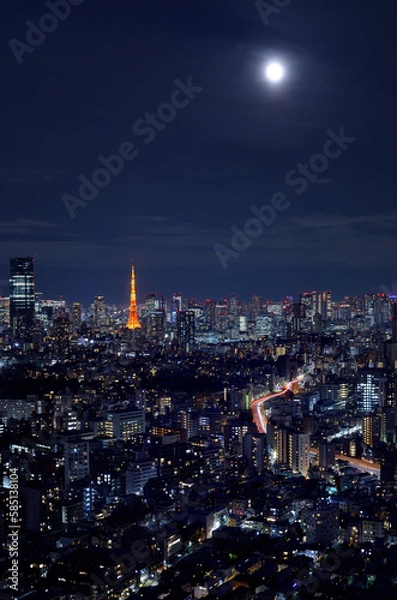 Fototapeta 恵比寿ガーデンプレイスから見た東京タワーと都市の夜景