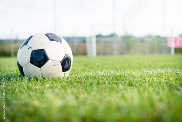 Obraz soccer ball on green grass
