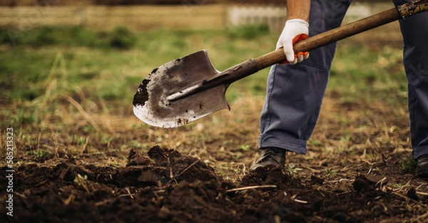 Obraz The gardener digs the garden with a shovel