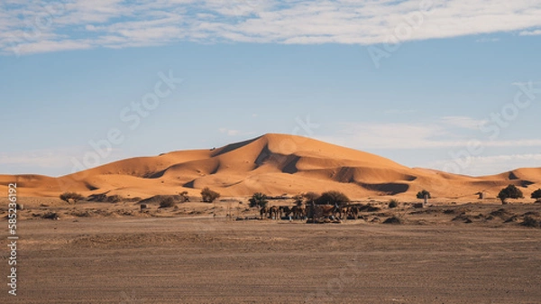 Obraz Morocco Sahara Desert