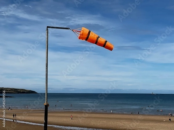 Obraz Windy day on a beach