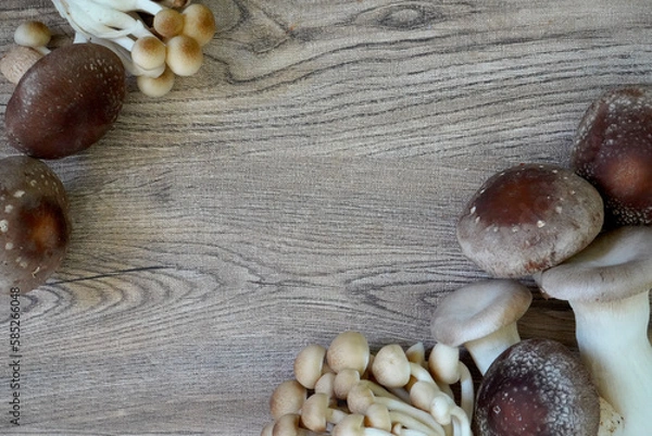 Obraz ３種類のキノコの背景画/コピースペースあり