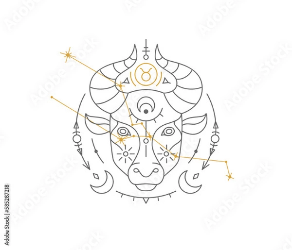 Fototapeta Taurus astrological symbol with Zodiac constellation, connected stars. Bull astrology horoscope sign and stars on white background thin line vector illustration