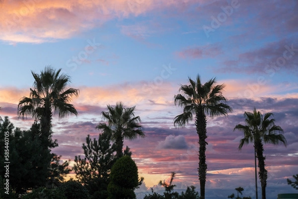 Fototapeta Palm Trees Silhouettes On Tropical Beach At Sunset Palm trees in the beautiful sunset time with moody orange sky