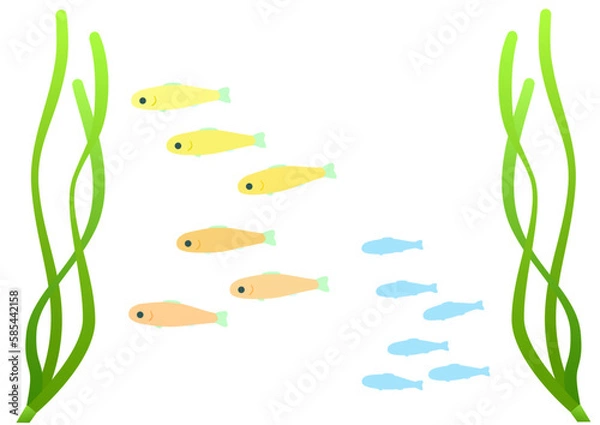 Obraz A school of young fish in an eelgrass bed. Set of cartoon-style illustrations of colorful young fish and silhouettes.