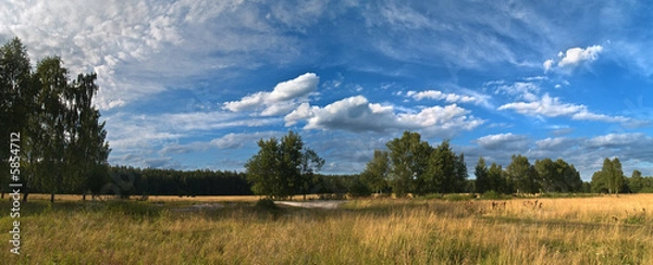 Obraz Field with blue sky