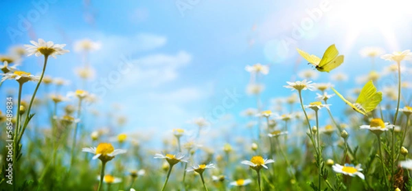 Fototapeta abstract spring nature background with fresh grass and flowers against sunny sky