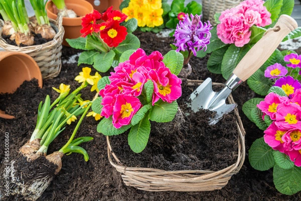Obraz Frühling - Töpfe bepflanzen