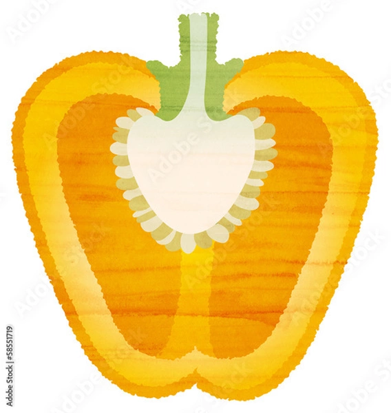 Obraz 水彩風 パプリカの断面