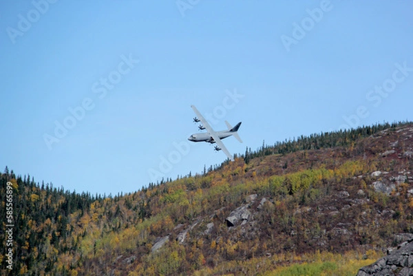 Fototapeta Water bomber making test run over treetops