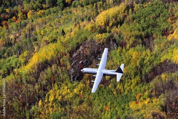 Fototapeta Water bomber making test run over treetops