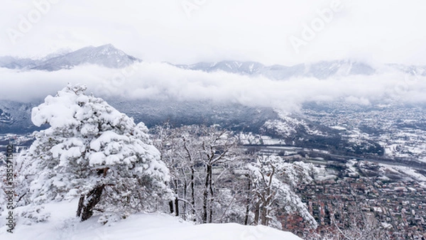Obraz panorama of hills and snowy trees  